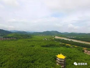 肇庆9个县市区航拍图惊艳登场,哪家最美呢