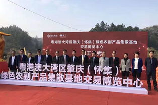 给力 他们这样盛赞怀集投资营商环境......