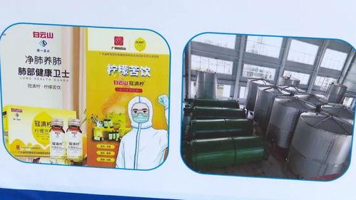 怀集服务好 项目落地快 客商盛赞怀集优越投资环境