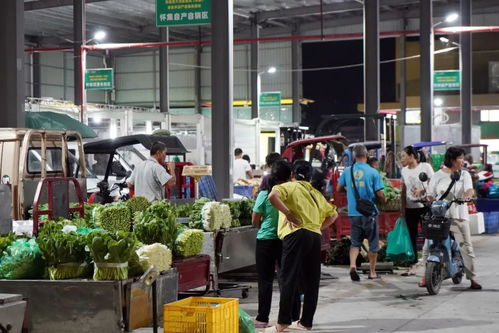 构建 一中心多节点 产业闭环,高水平打造粤港澳大湾区肇庆 怀集 绿色农副产品集散基地